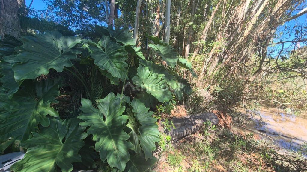 Terreno en Venta en Tigre, G.B.A. Zona Norte