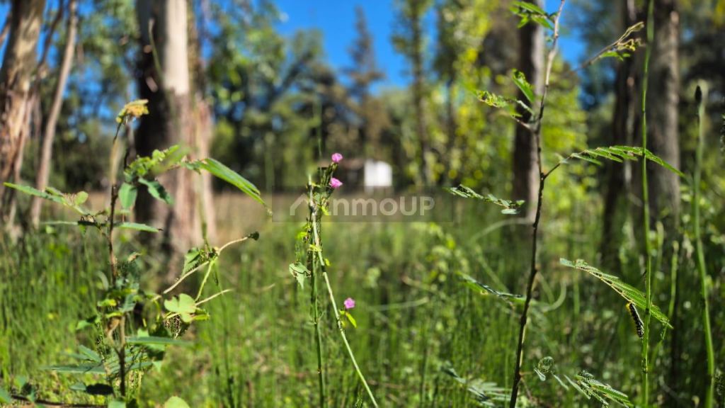 Terreno en Venta en Tigre, G.B.A. Zona Norte