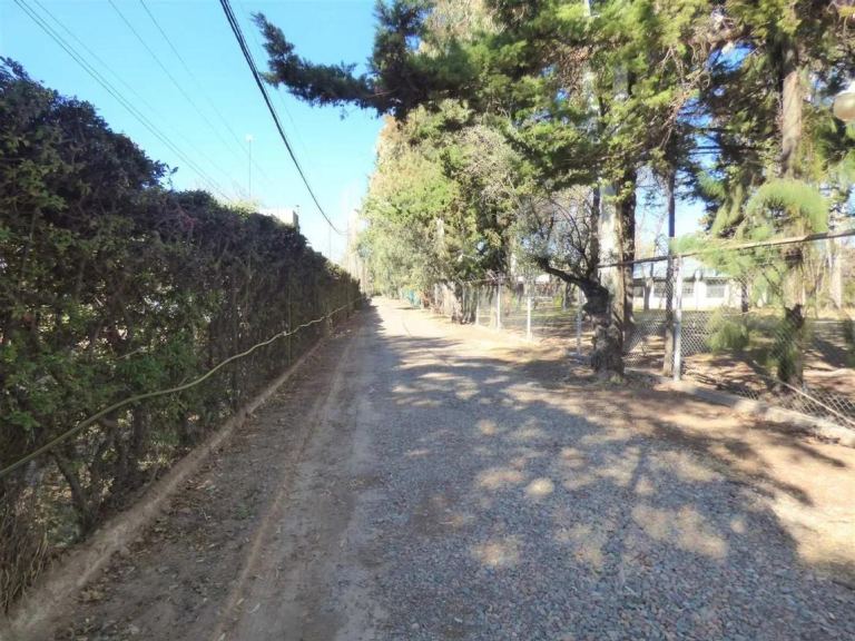 Terreno en Venta en Lujan de Cuyo, Mendoza
