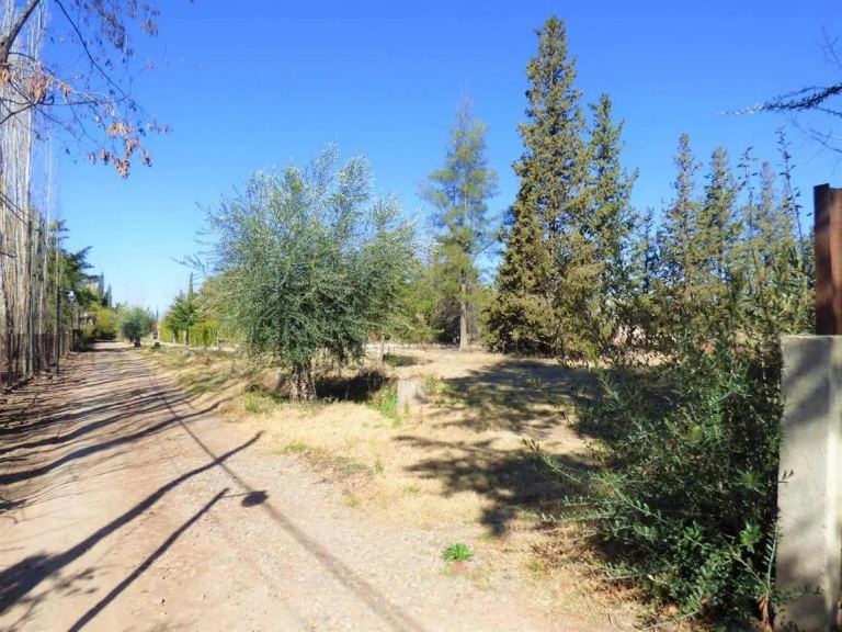 Terreno en Venta en Lujan de Cuyo, Mendoza