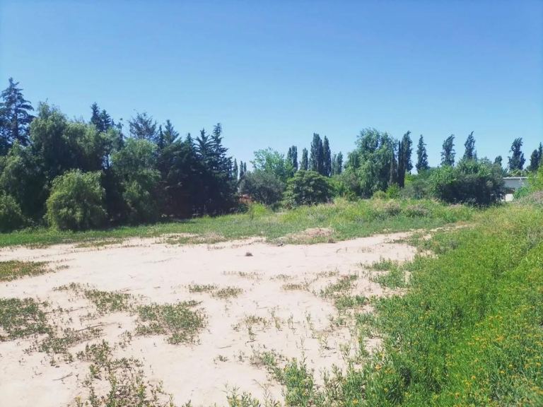Terreno en Venta en Maipu, Mendoza