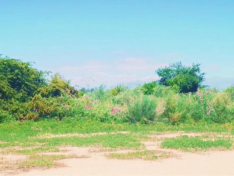 Terreno en Venta en Maipu, Mendoza