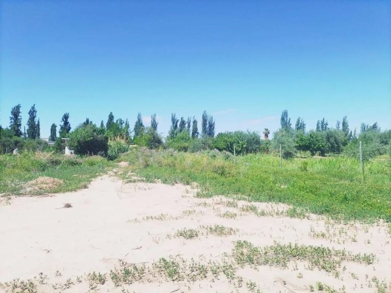 Terreno en Venta en Maipu, Mendoza