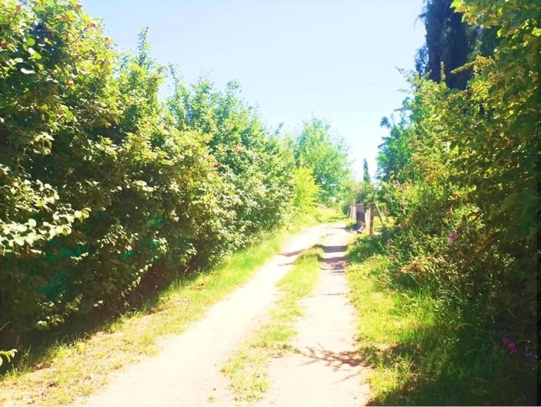 Terreno en Venta en Maipu, Mendoza