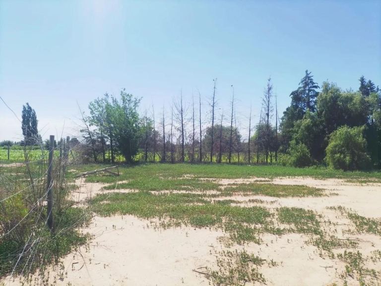 Terreno en Venta en Maipu, Mendoza