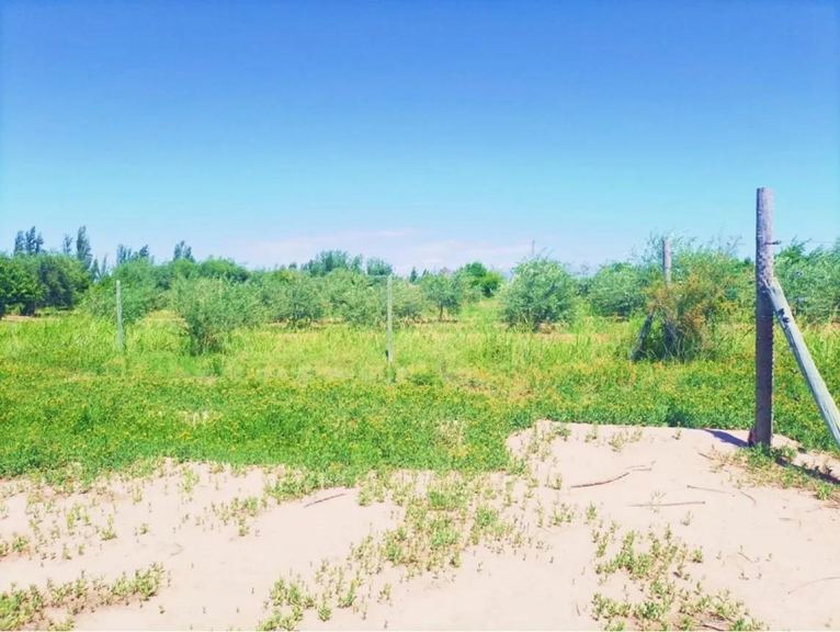 Terreno en Venta en Maipu, Mendoza