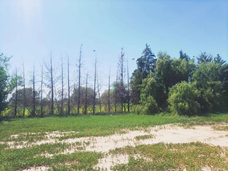 Terreno en Venta en Maipu, Mendoza