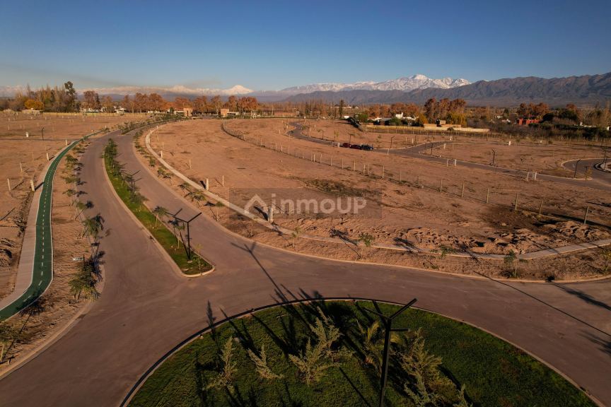 Terreno en Venta en Lujan de Cuyo, Mendoza