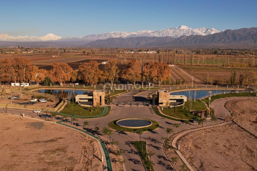 Terreno en Venta en Lujan de Cuyo, Mendoza