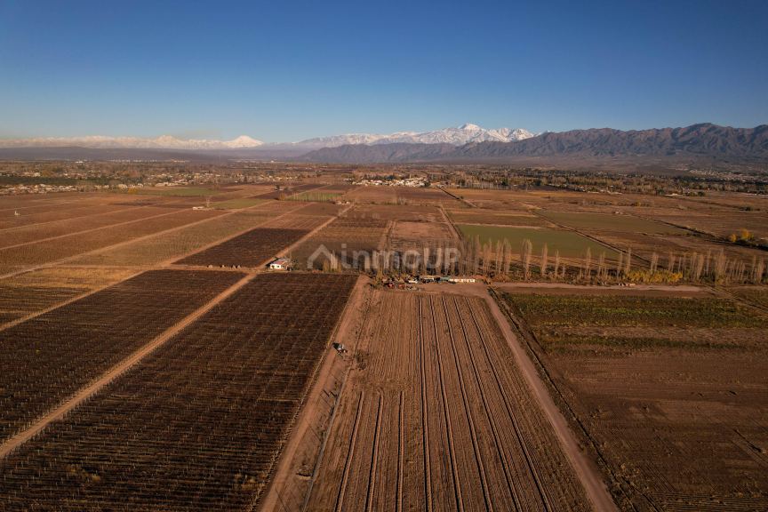 Terreno en Venta en Lujan de Cuyo, Mendoza