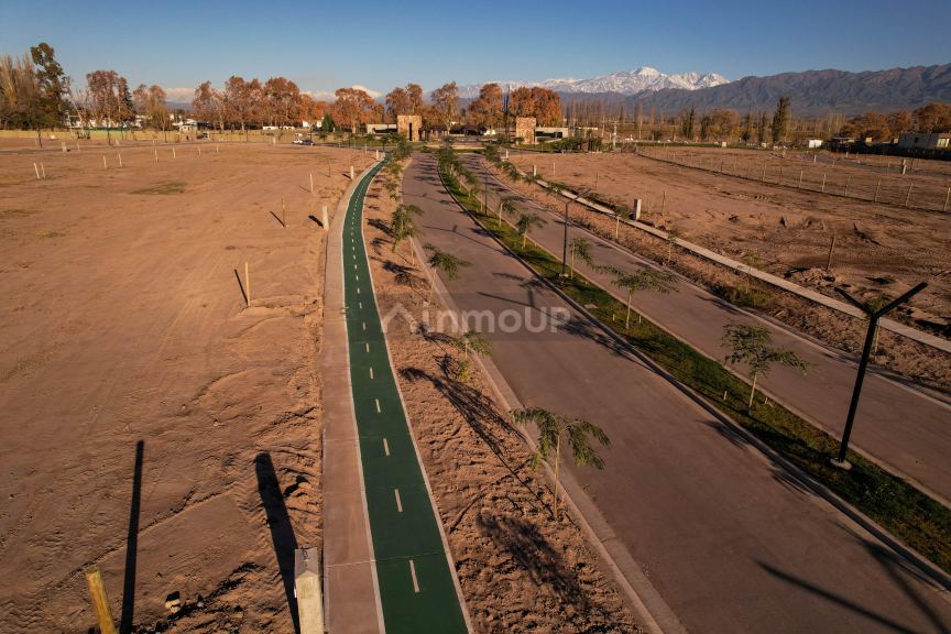 Terreno en Venta en Lujan de Cuyo, Mendoza