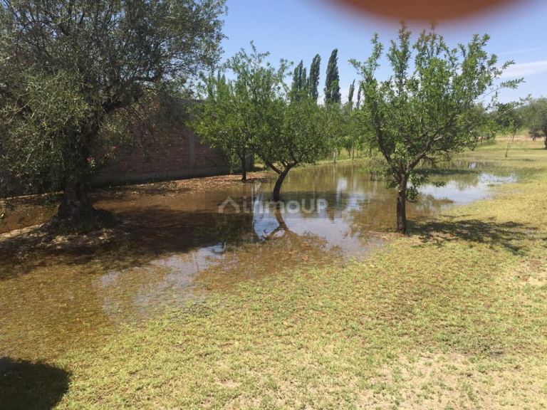 Quinta en Venta en Maipu, Mendoza