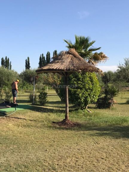 Quinta en Venta en Maipu, Mendoza