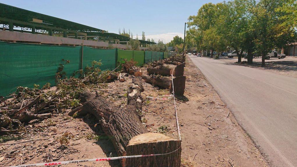 Lote en Venta en Lujan de Cuyo, Mendoza