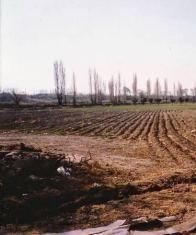 Finca en Venta en Lujan de Cuyo, Mendoza