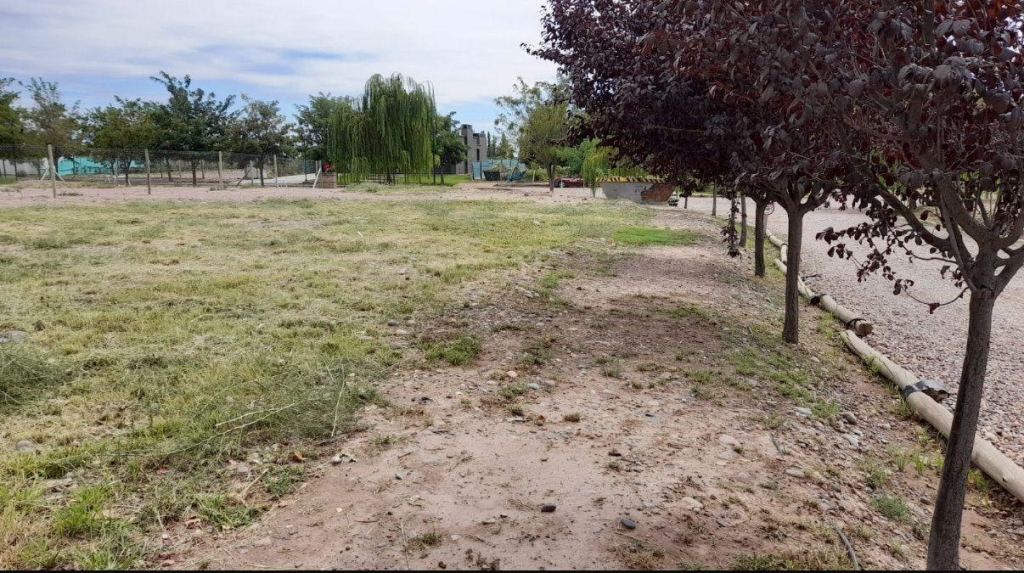 Lote en Venta en Lujan de Cuyo, Mendoza