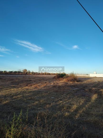 Lote en Venta en Junin, Mendoza