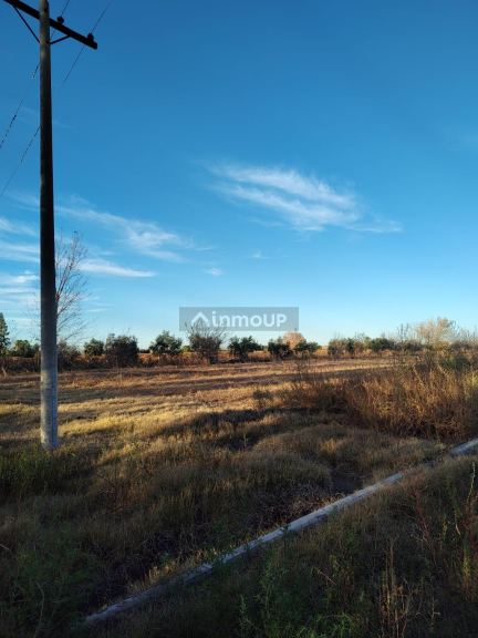 Lote en Venta en Junin, Mendoza