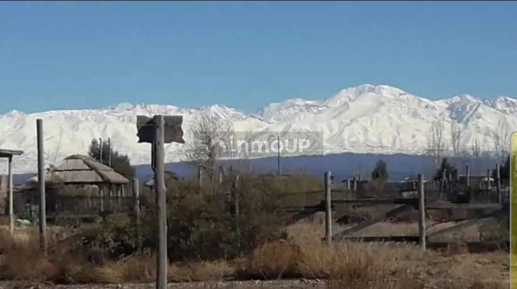 Terreno en Venta en Lujan de Cuyo, Mendoza