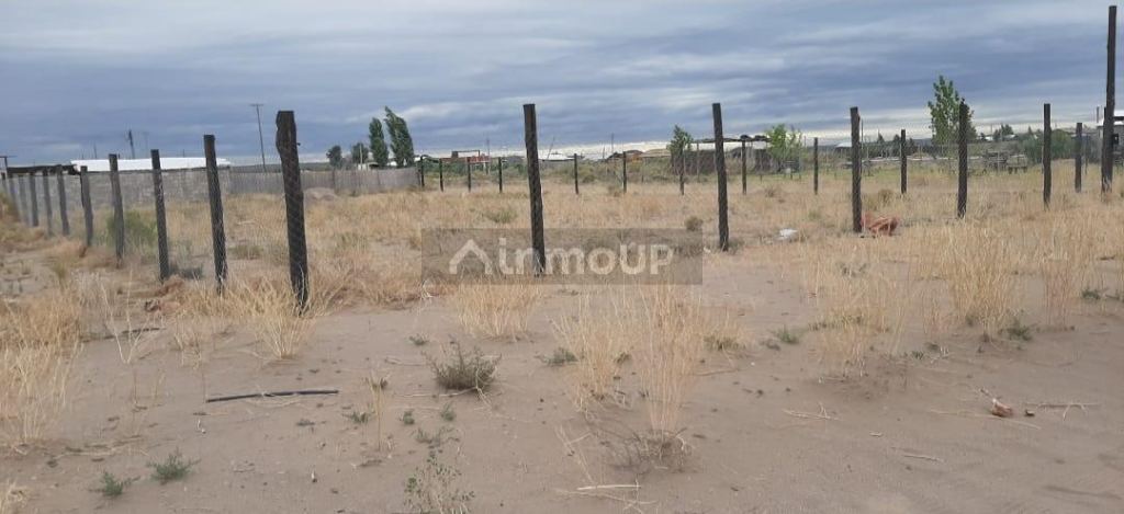 Terreno en Venta en Lujan de Cuyo, Mendoza