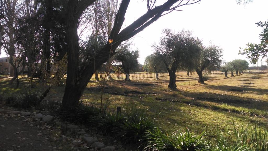 Casa en Venta en Maipu, Mendoza