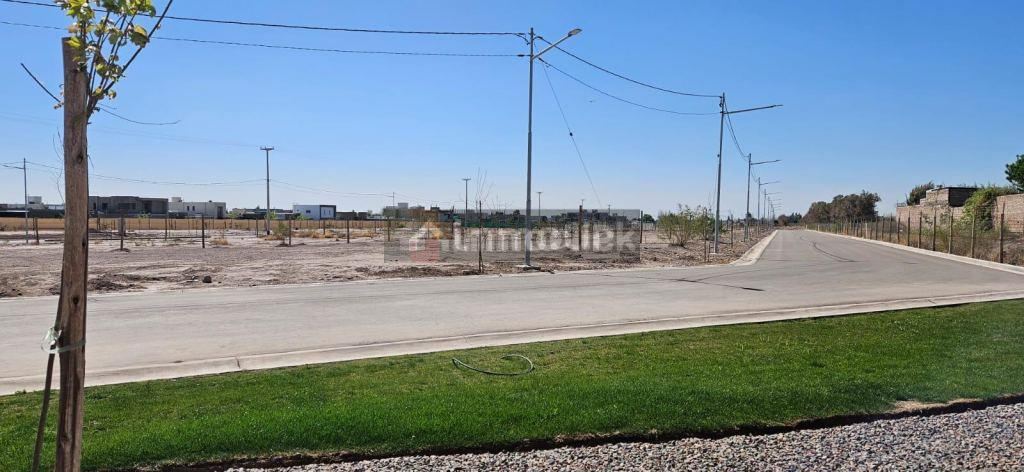 Lote en Venta en Lujan de Cuyo, Mendoza