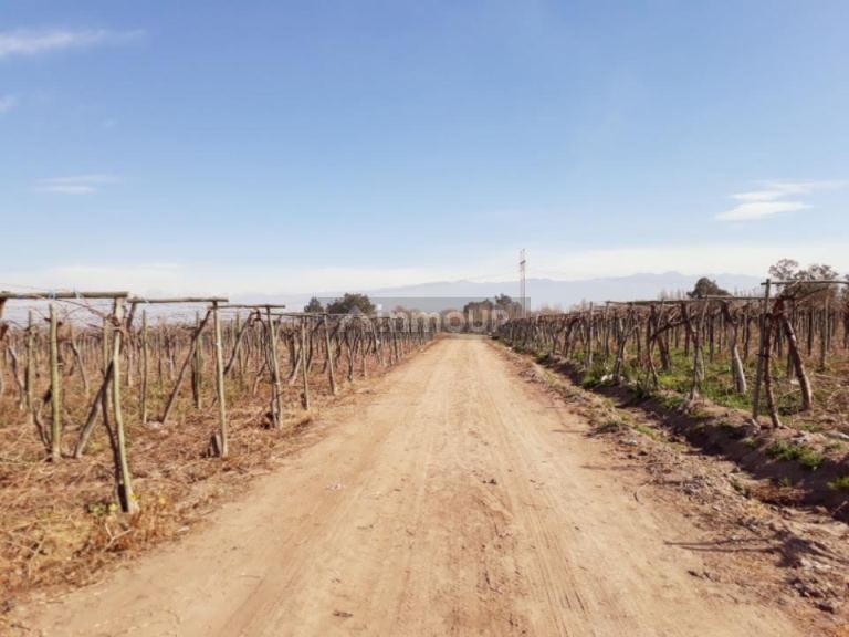 Finca en Venta en Guaymallen, Mendoza