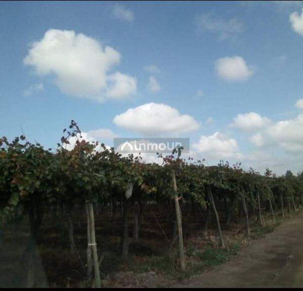 Finca en Venta en Guaymallen, Mendoza
