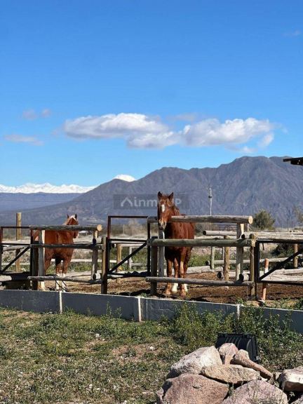 Lote en Venta en Lujan de Cuyo, Mendoza