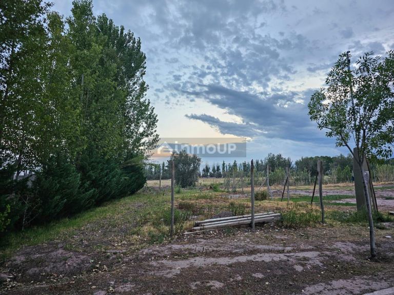 Lote en Venta en Lujan de Cuyo, Mendoza