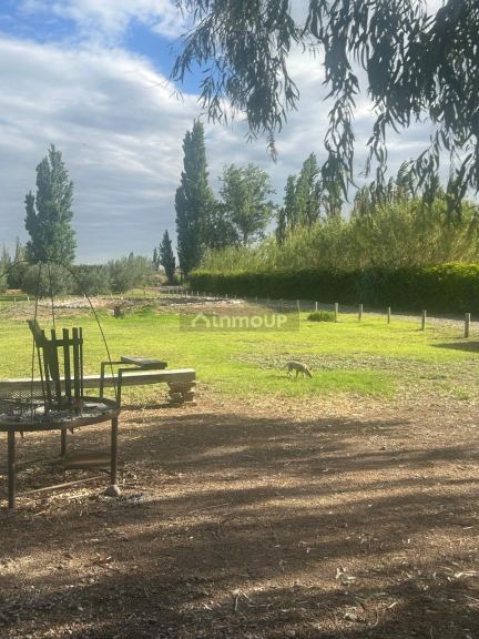 Fábrica en Venta en Lavalle, Mendoza