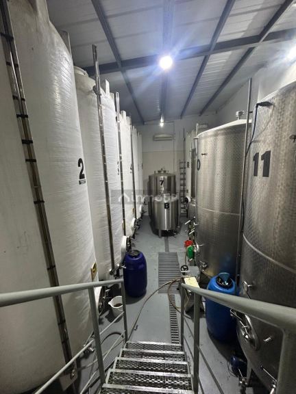 Fábrica en Venta en Lavalle, Mendoza