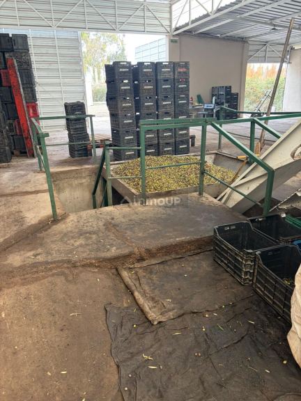 Fábrica en Venta en Lavalle, Mendoza