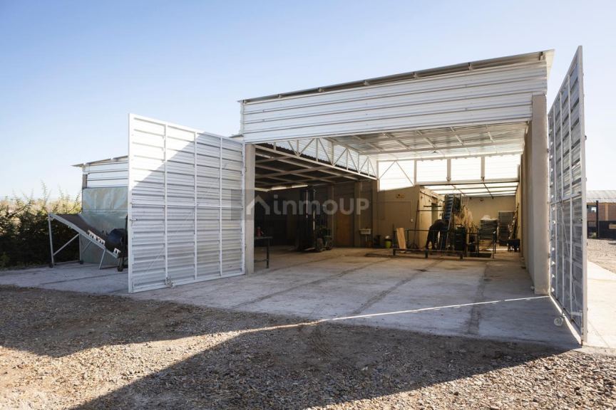 Fábrica en Venta en Lavalle, Mendoza