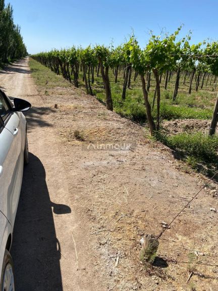 Finca en Venta en Las Heras, Mendoza
