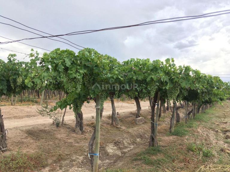 Finca en Venta en Las Heras, Mendoza
