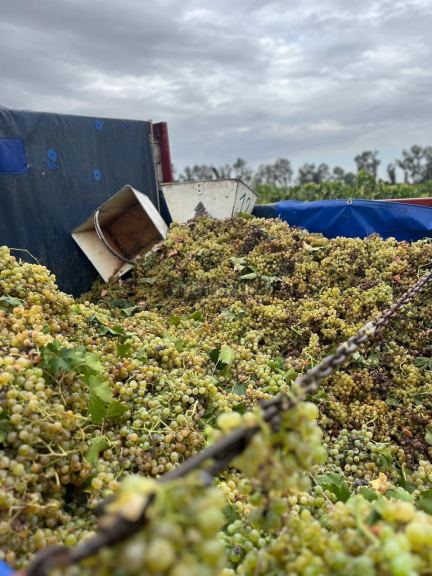 Finca en Venta en Las Heras, Mendoza