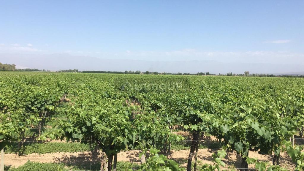 Finca en Venta en Las Heras, Mendoza