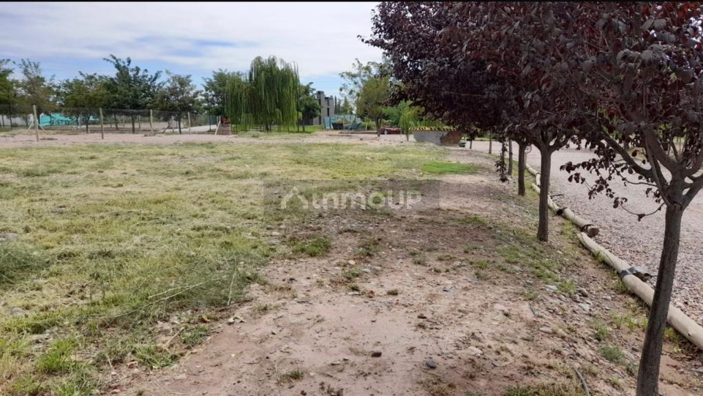 Lote en Venta en Lujan de Cuyo, Mendoza