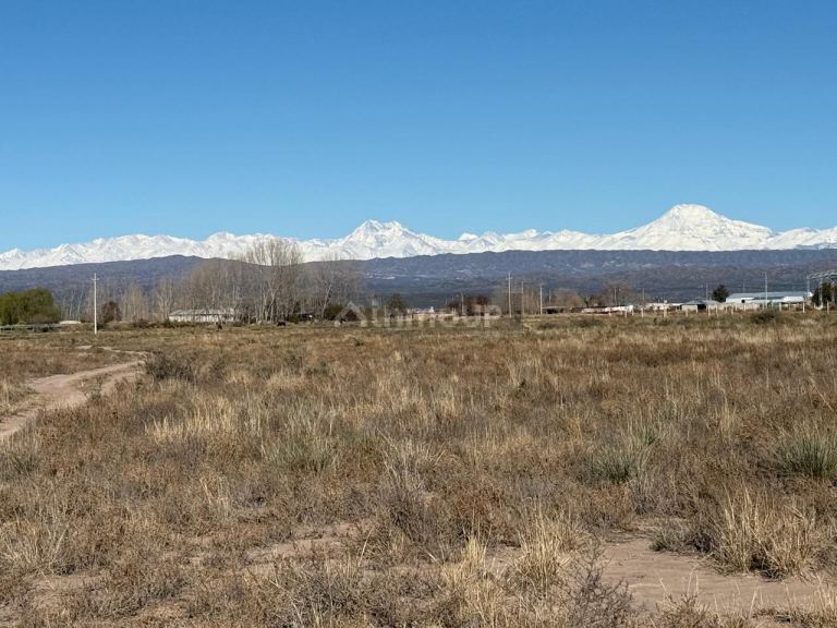 Lote en Venta en Lujan de Cuyo, Mendoza