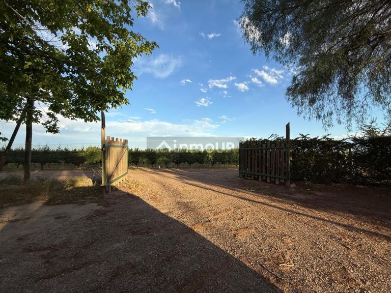 Lote en Venta en Lujan de Cuyo, Mendoza