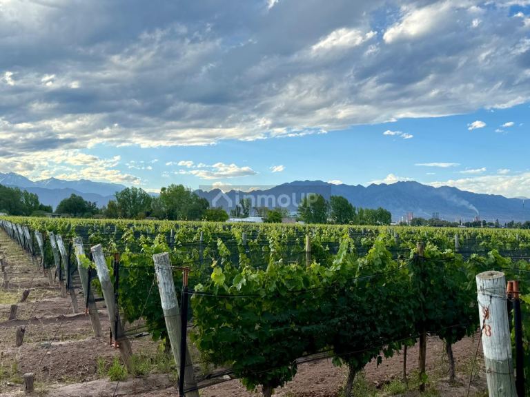 Lote en Venta en Lujan de Cuyo, Mendoza