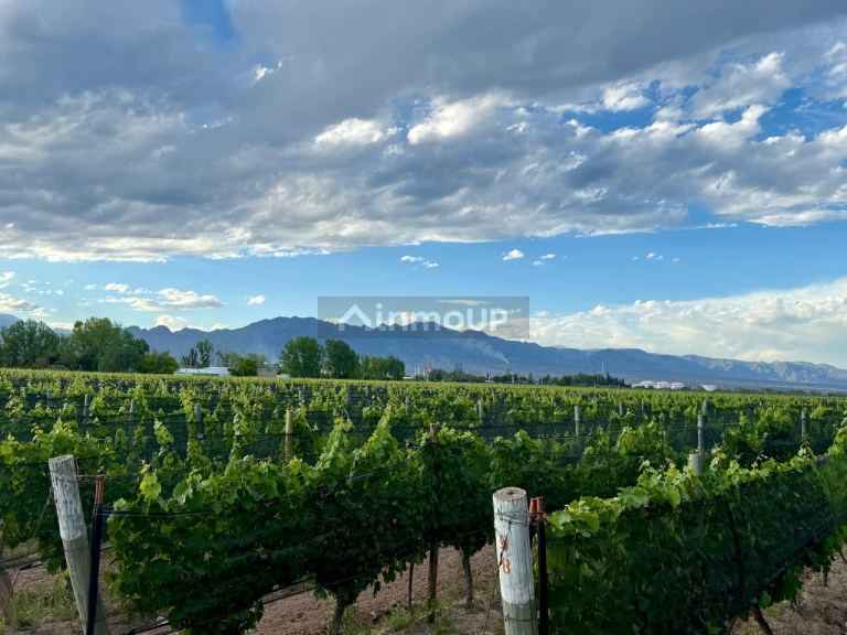 Lote en Venta en Lujan de Cuyo, Mendoza