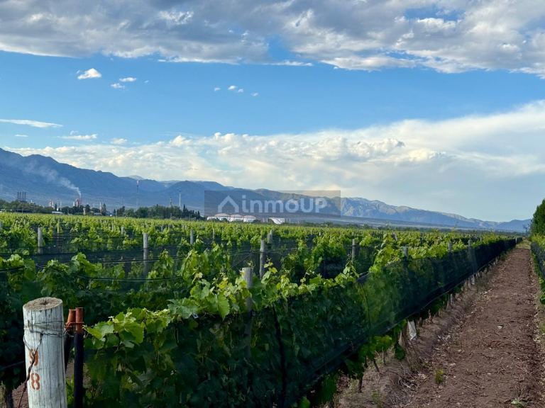 Lote en Venta en Lujan de Cuyo, Mendoza