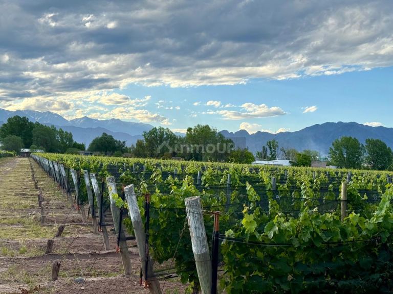 Lote en Venta en Lujan de Cuyo, Mendoza