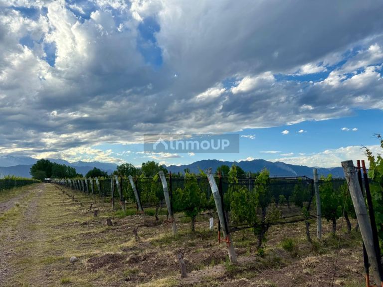 Lote en Venta en Lujan de Cuyo, Mendoza