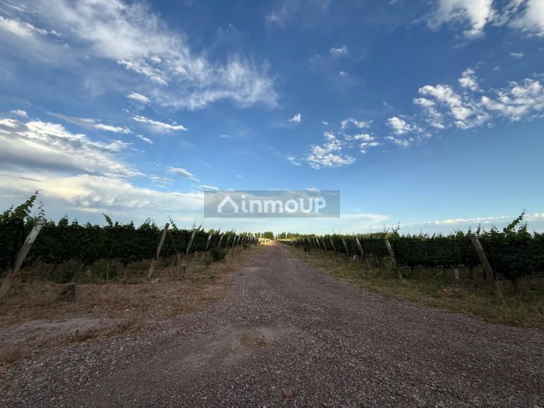 Lote en Venta en Lujan de Cuyo, Mendoza