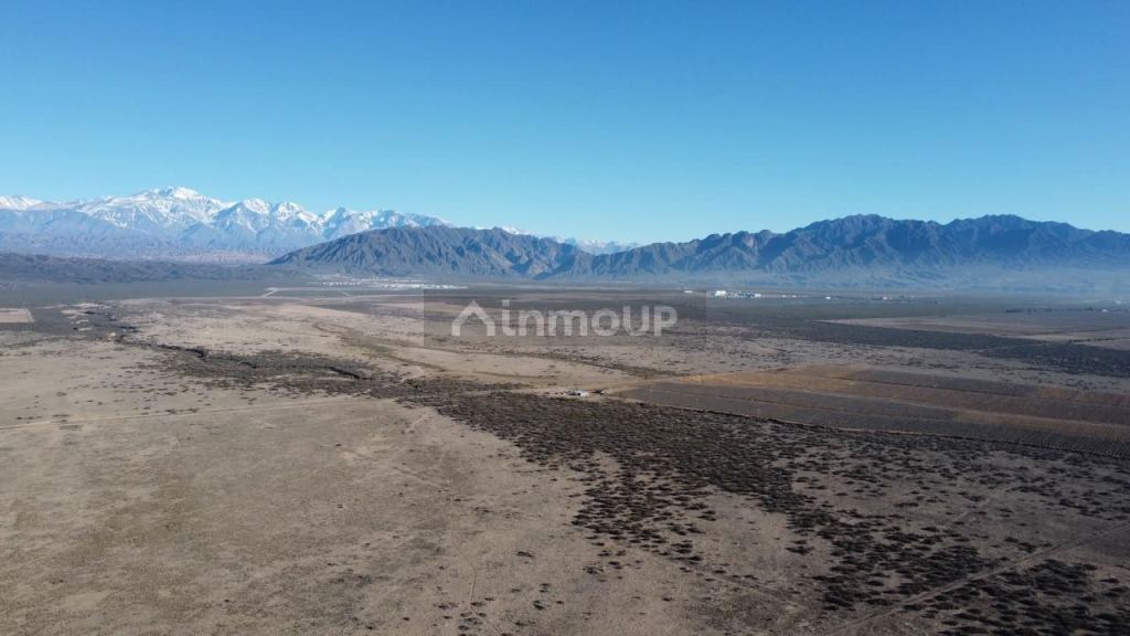 Terreno en Venta en Lujan de Cuyo, Mendoza