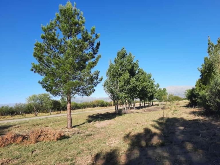 Lote en Venta en Belgrano, San Luis