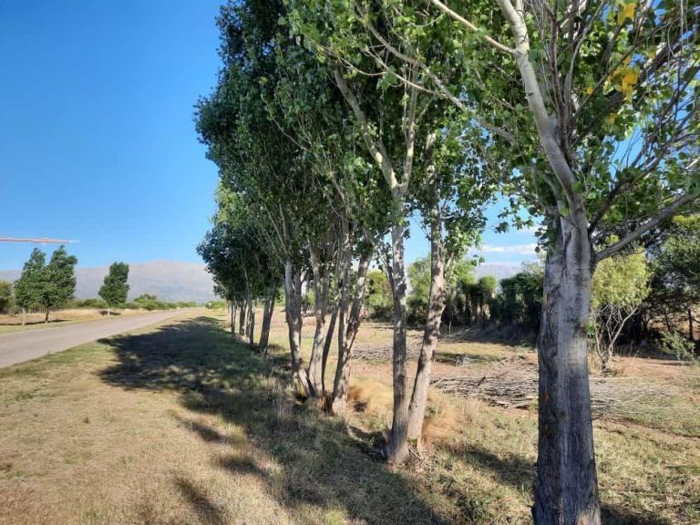 Lote en Venta en Belgrano, San Luis